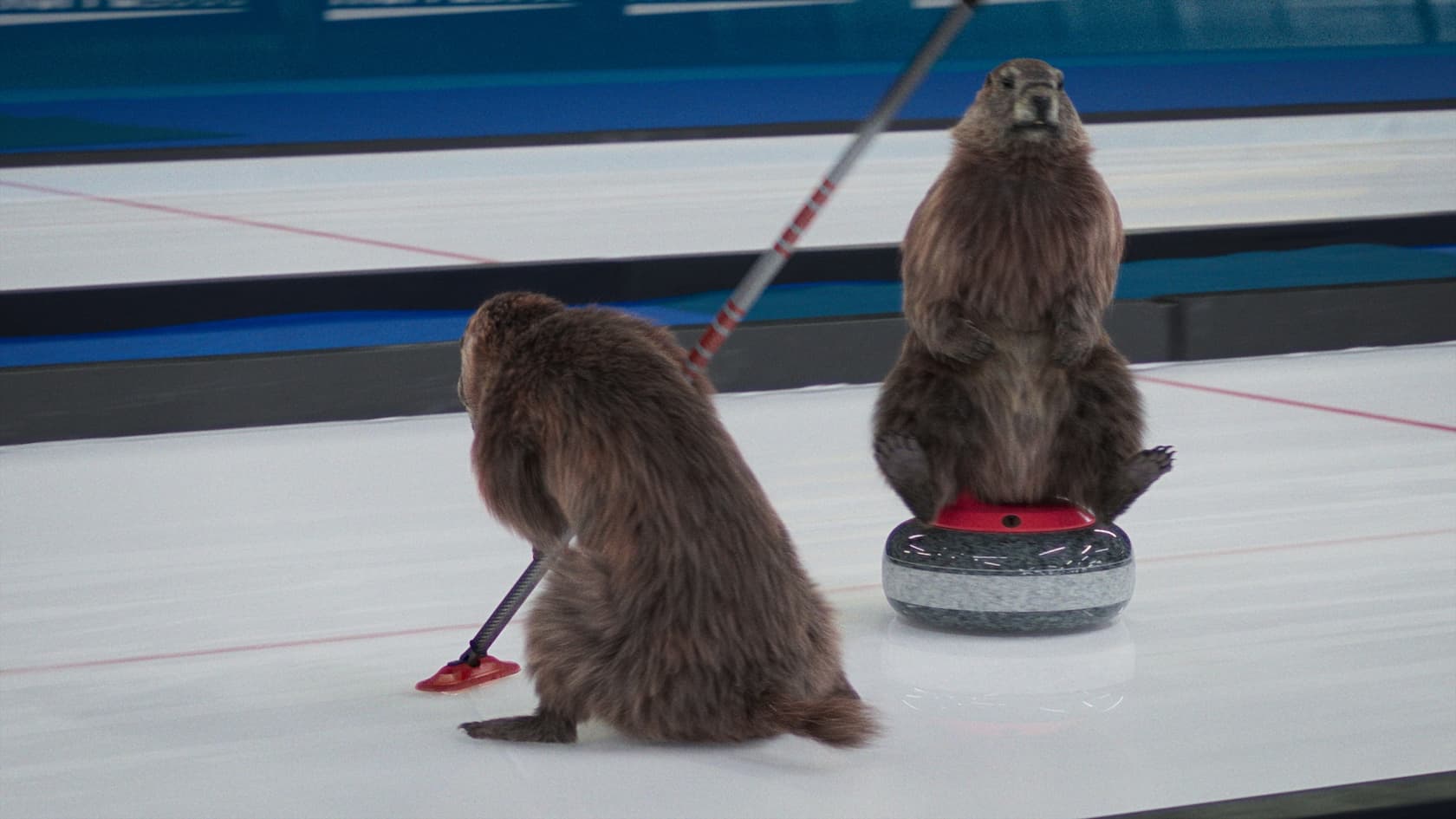 LM Curling still03